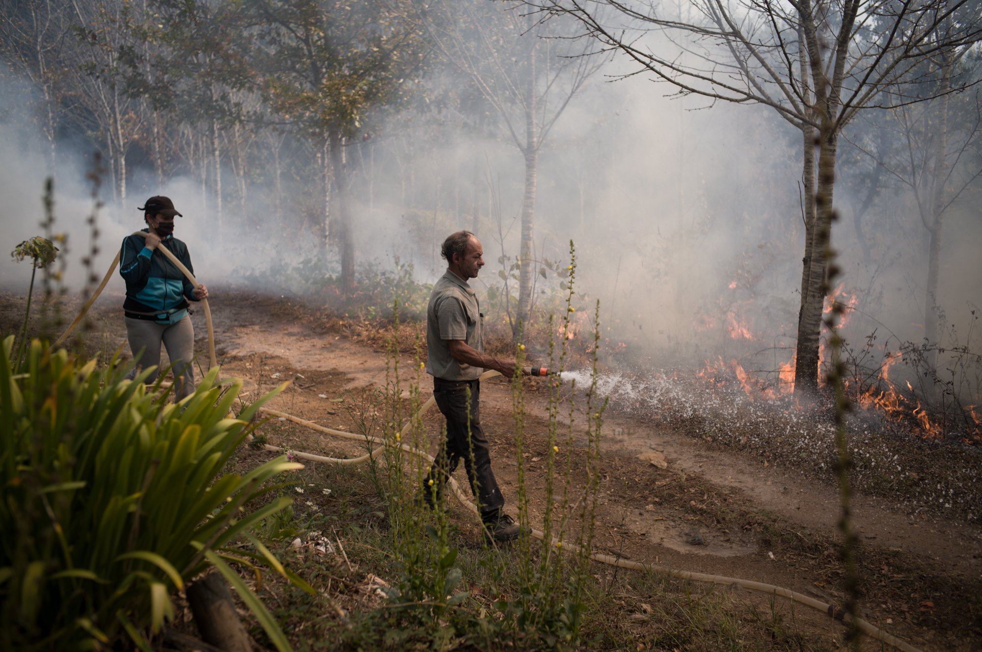 Wildfires_Portugal_Fonseca0005.jpg