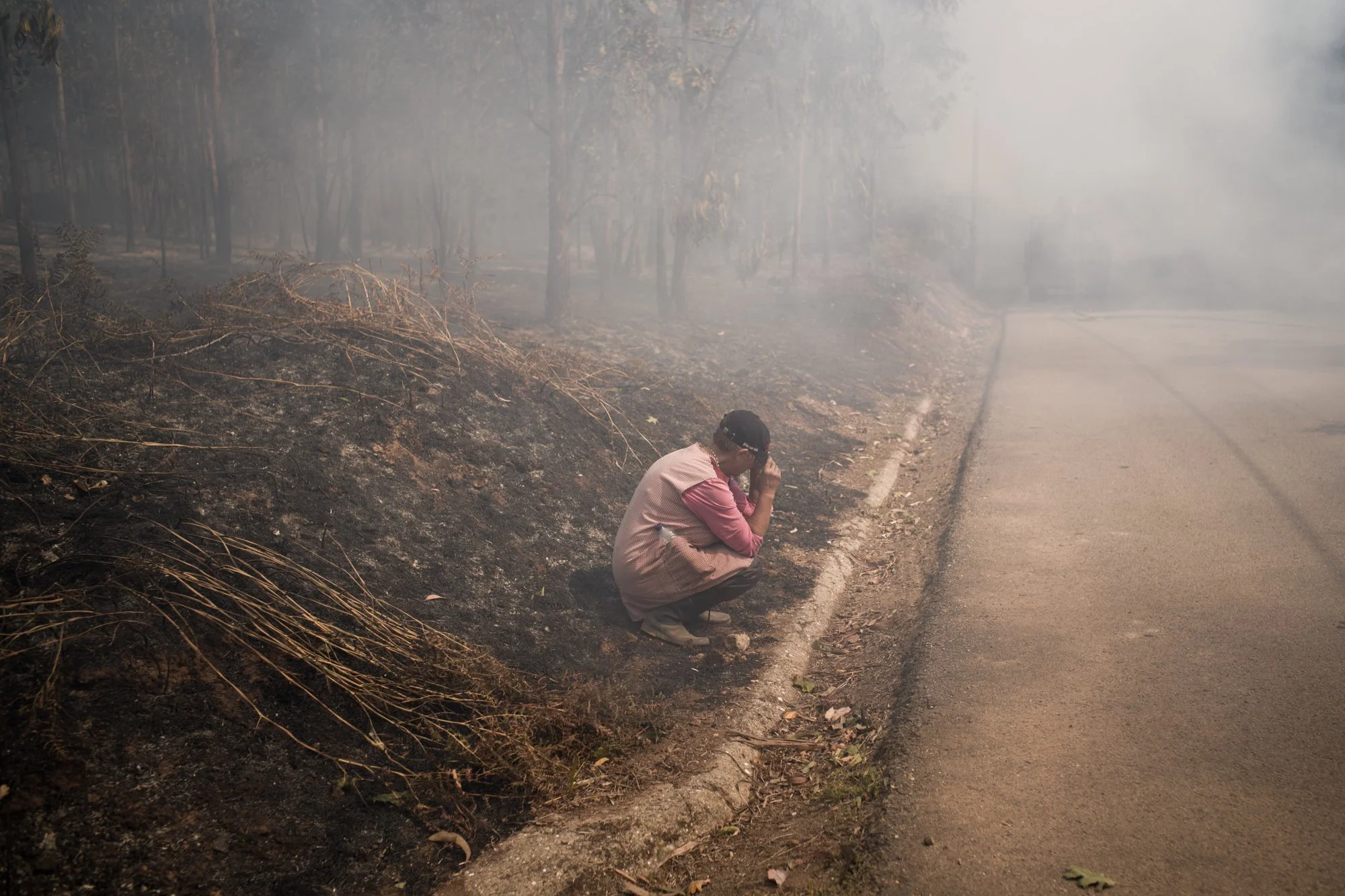 Wildfires_Portugal_Fonseca0008.jpg