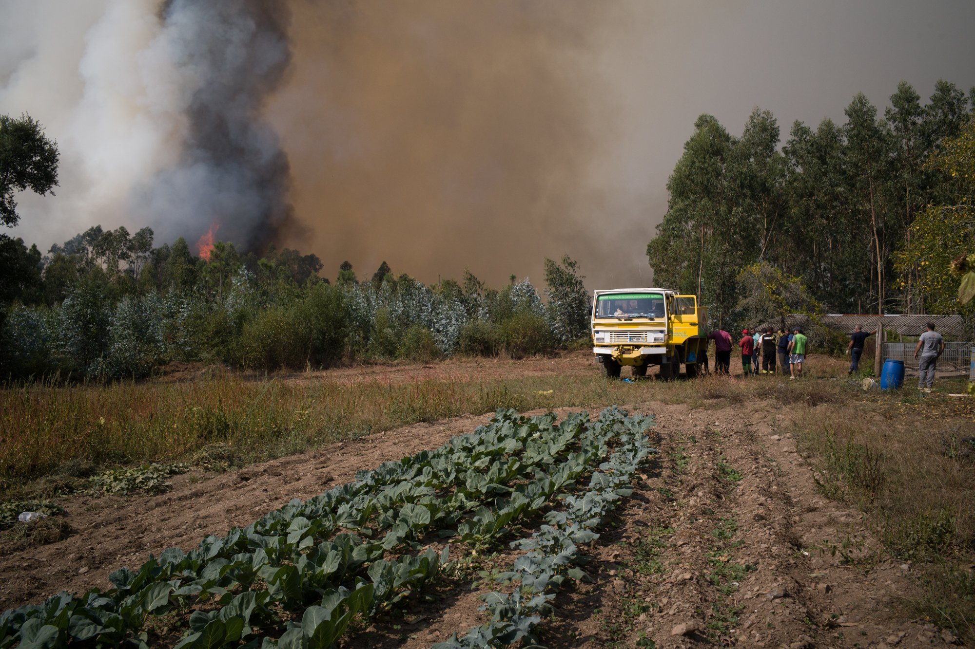Wildfires_Portugal_Fonseca0043.jpg