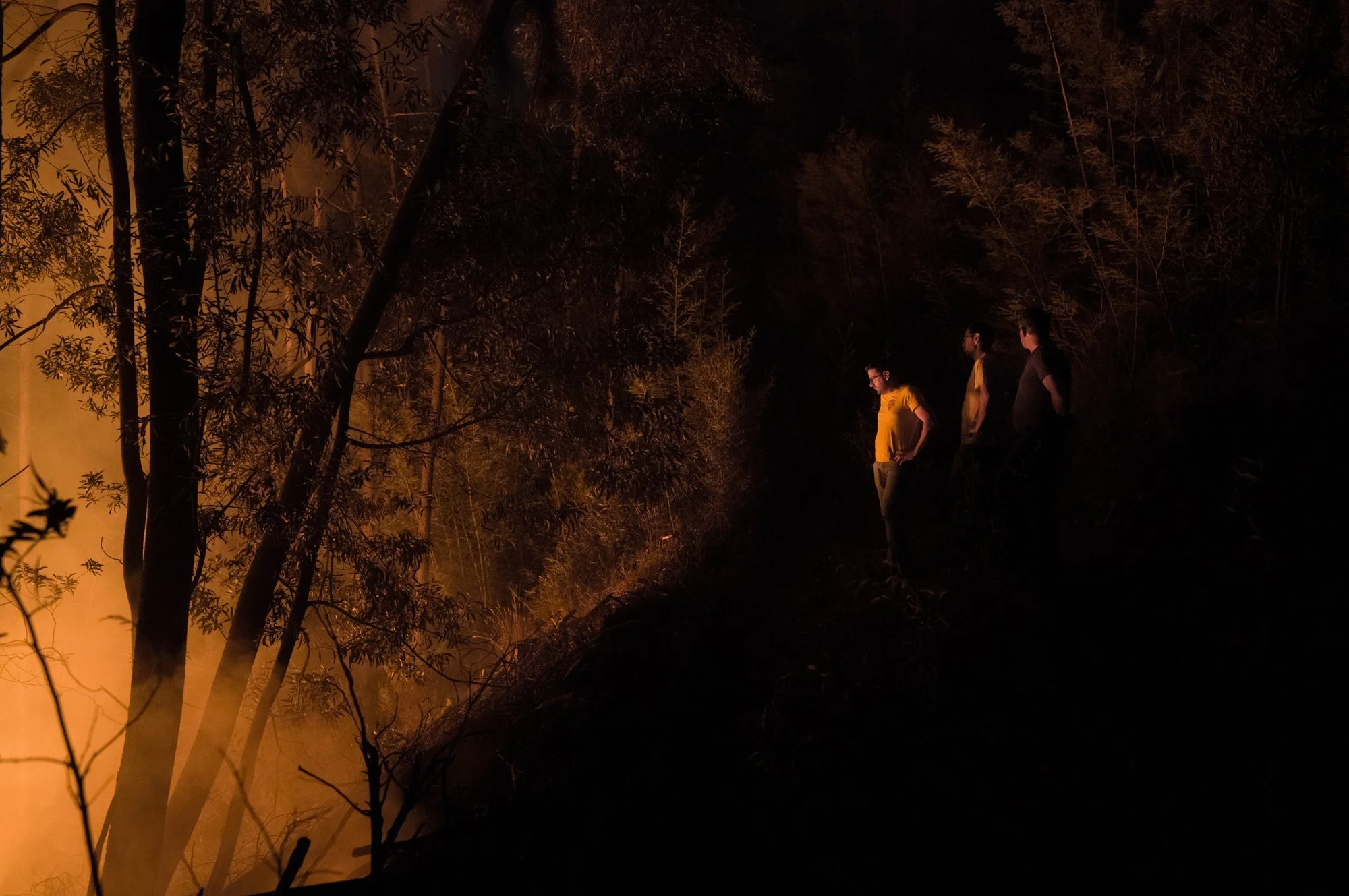Wildfires_Portugal_Fonseca0060.jpg