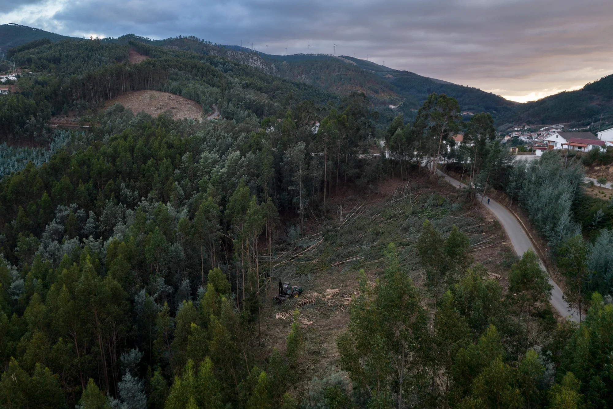 Forrest_Portugal_0048.JPG