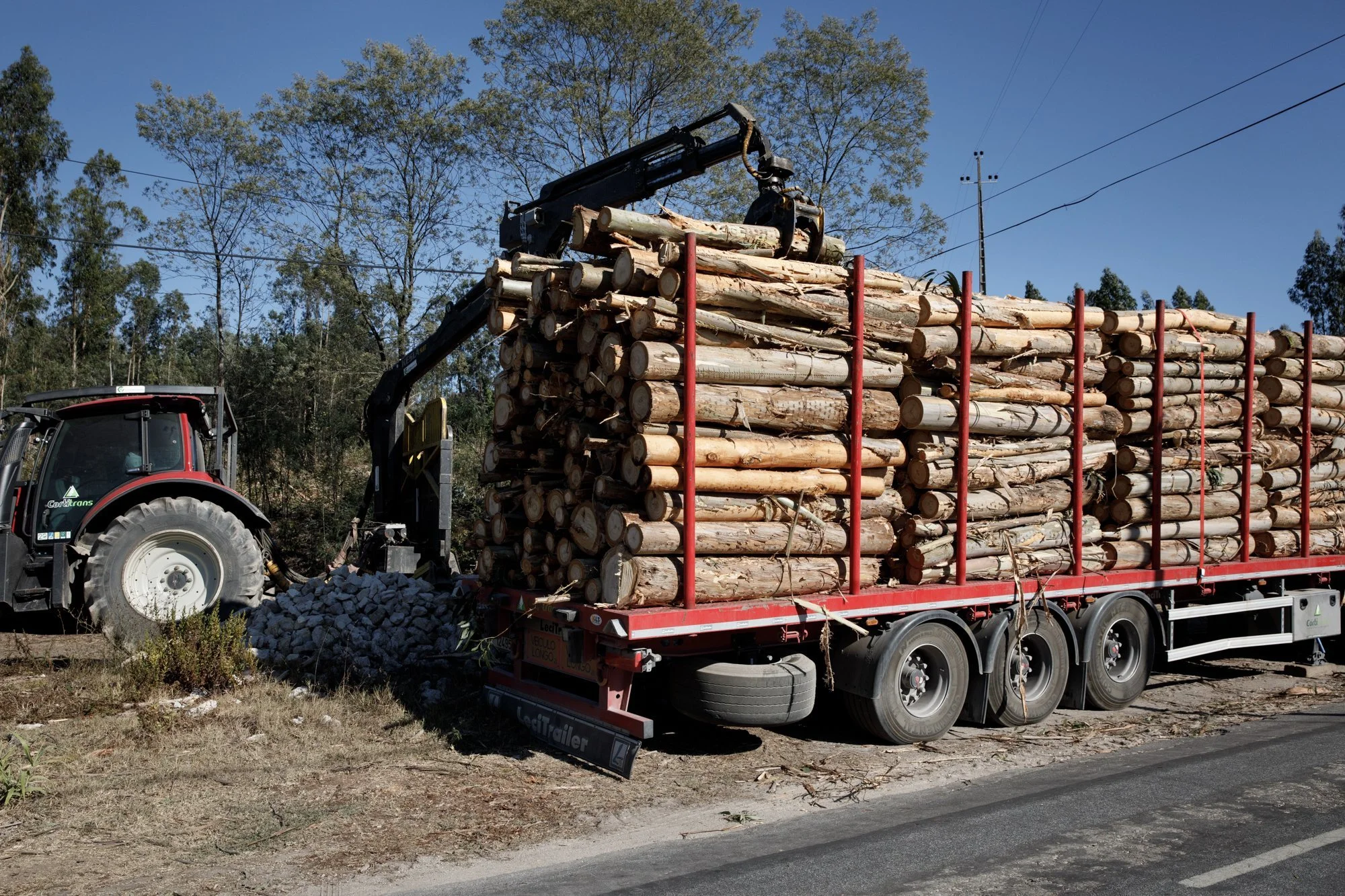 Forrest_Portugal_0040.JPG