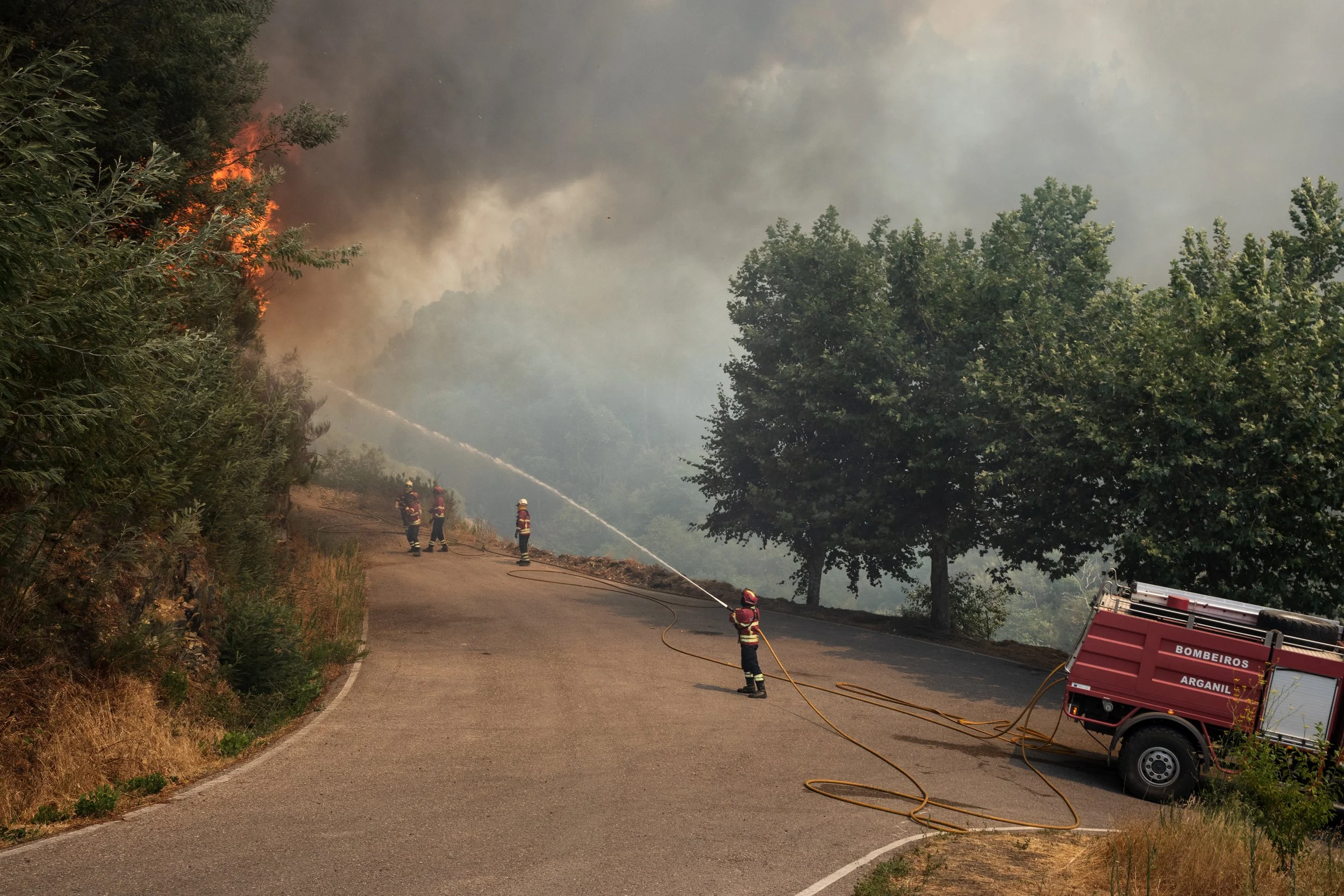 Bombeiros combatendo incêndio florestal em uma estrada de asfalto, com árvores ao redor e muito fumaça no ar.