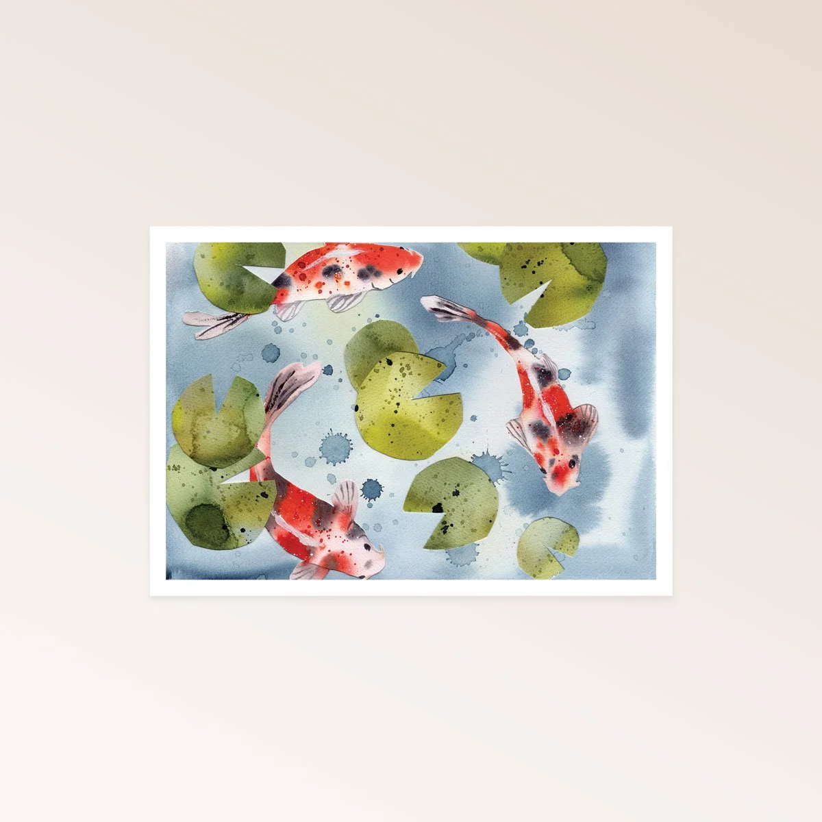 Koi fish pond