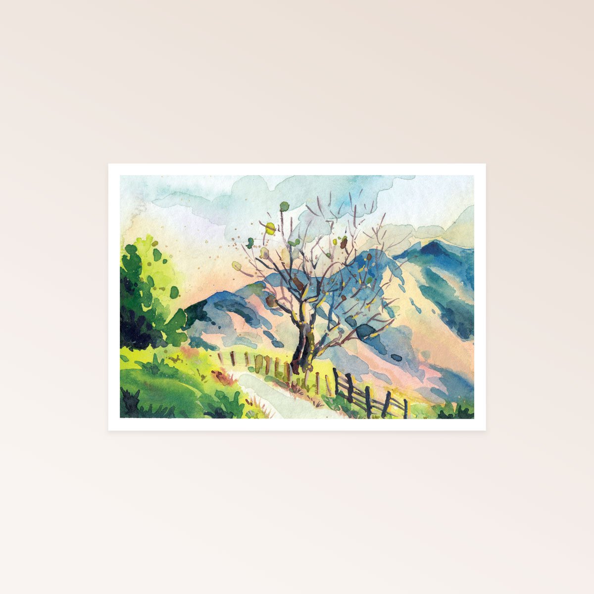 Soft Light Over Land