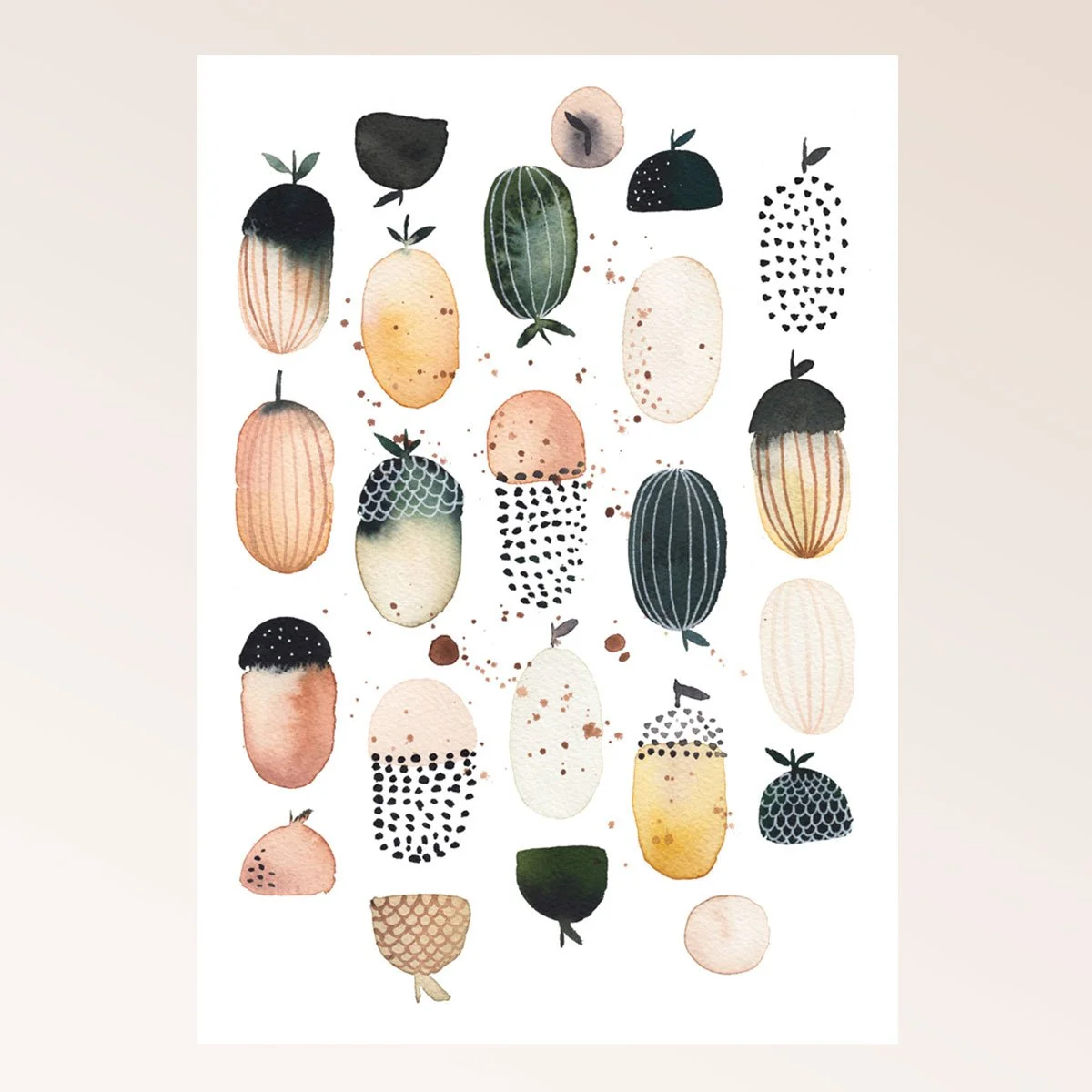 Acorn study