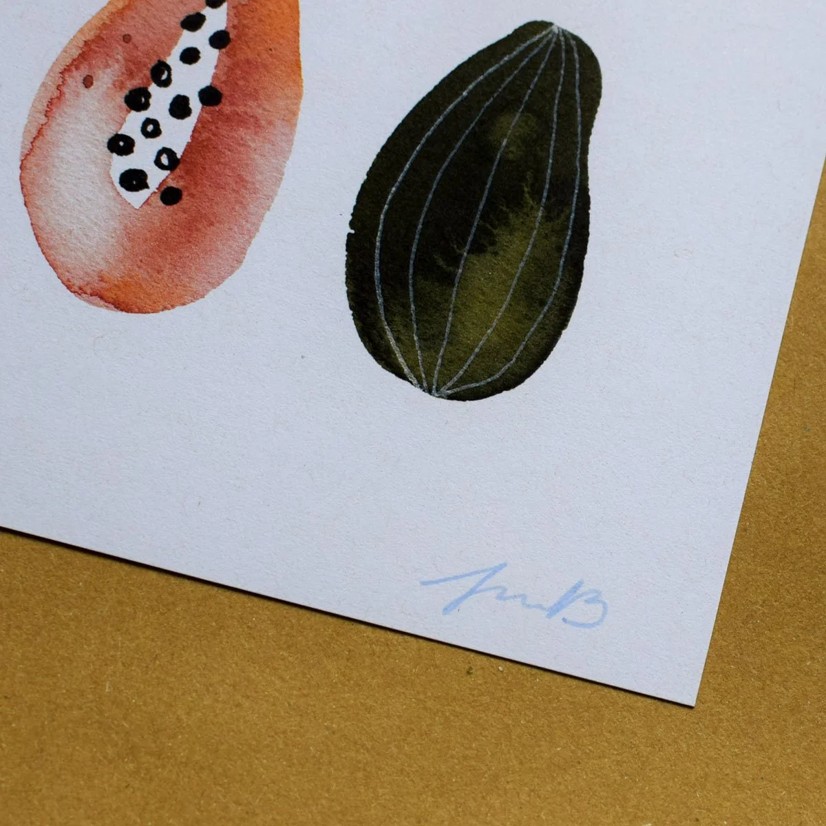Papaya study 2.jpg
