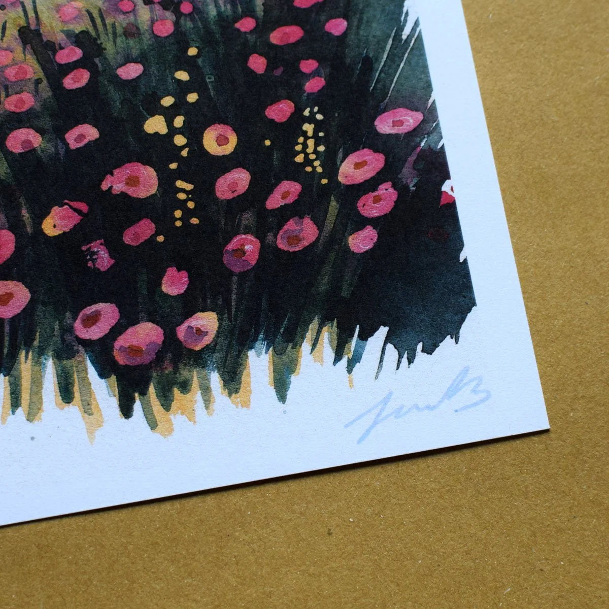 The Gentle Field 2.jpg