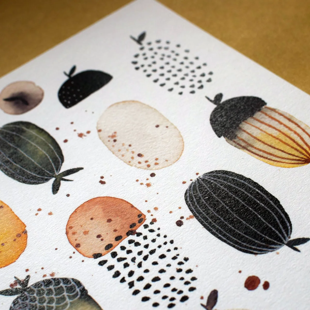 Acorn study 5.jpg