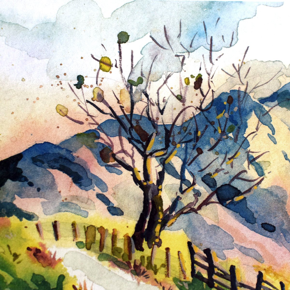 Soft Light Over Land 3.jpg