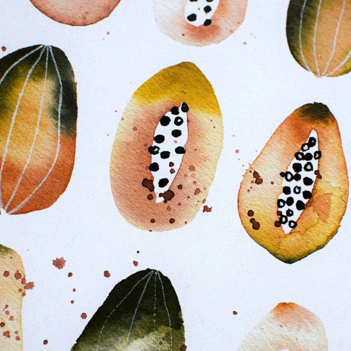 Papaya study 3.jpg