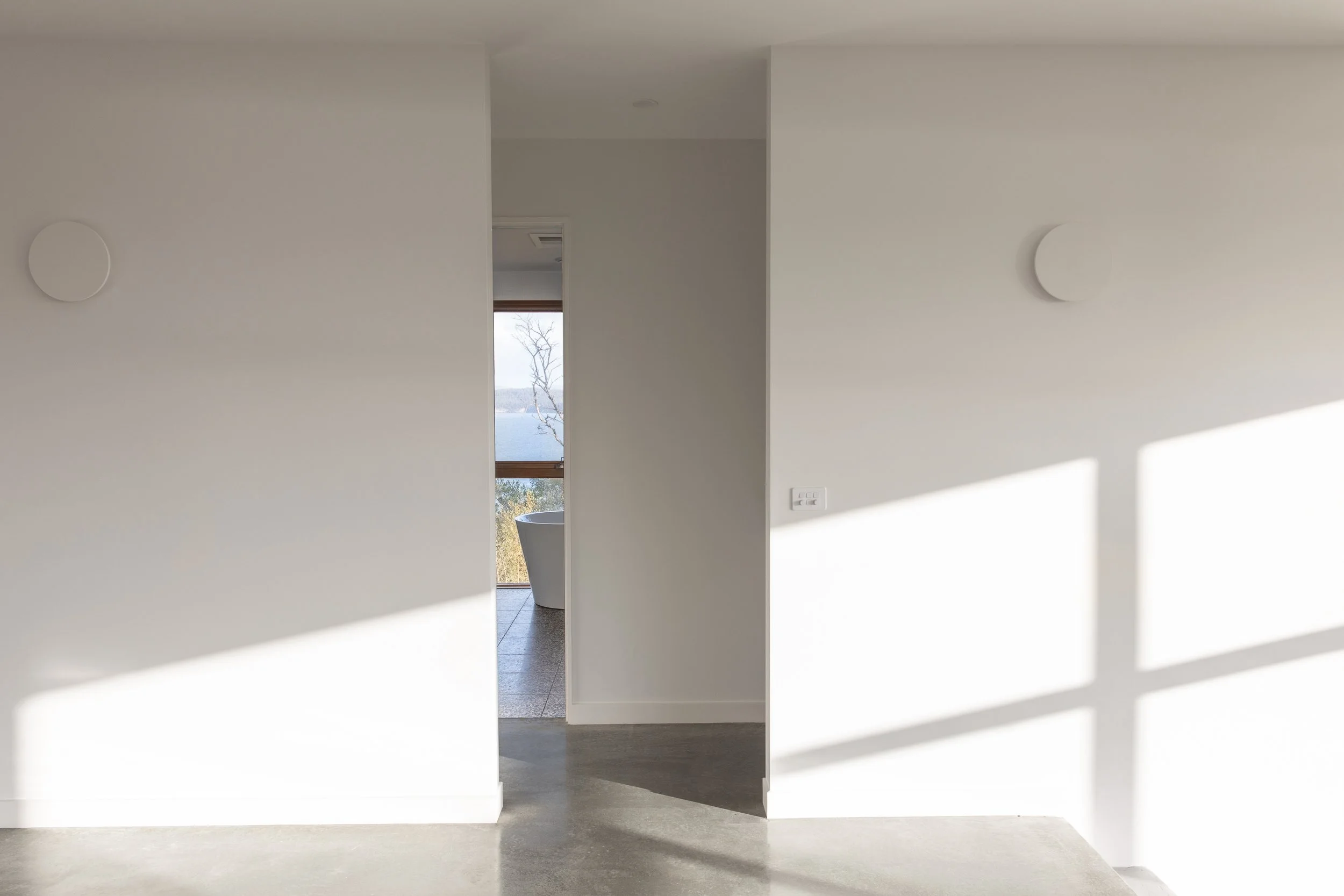 Website Hero Image 6.jpg