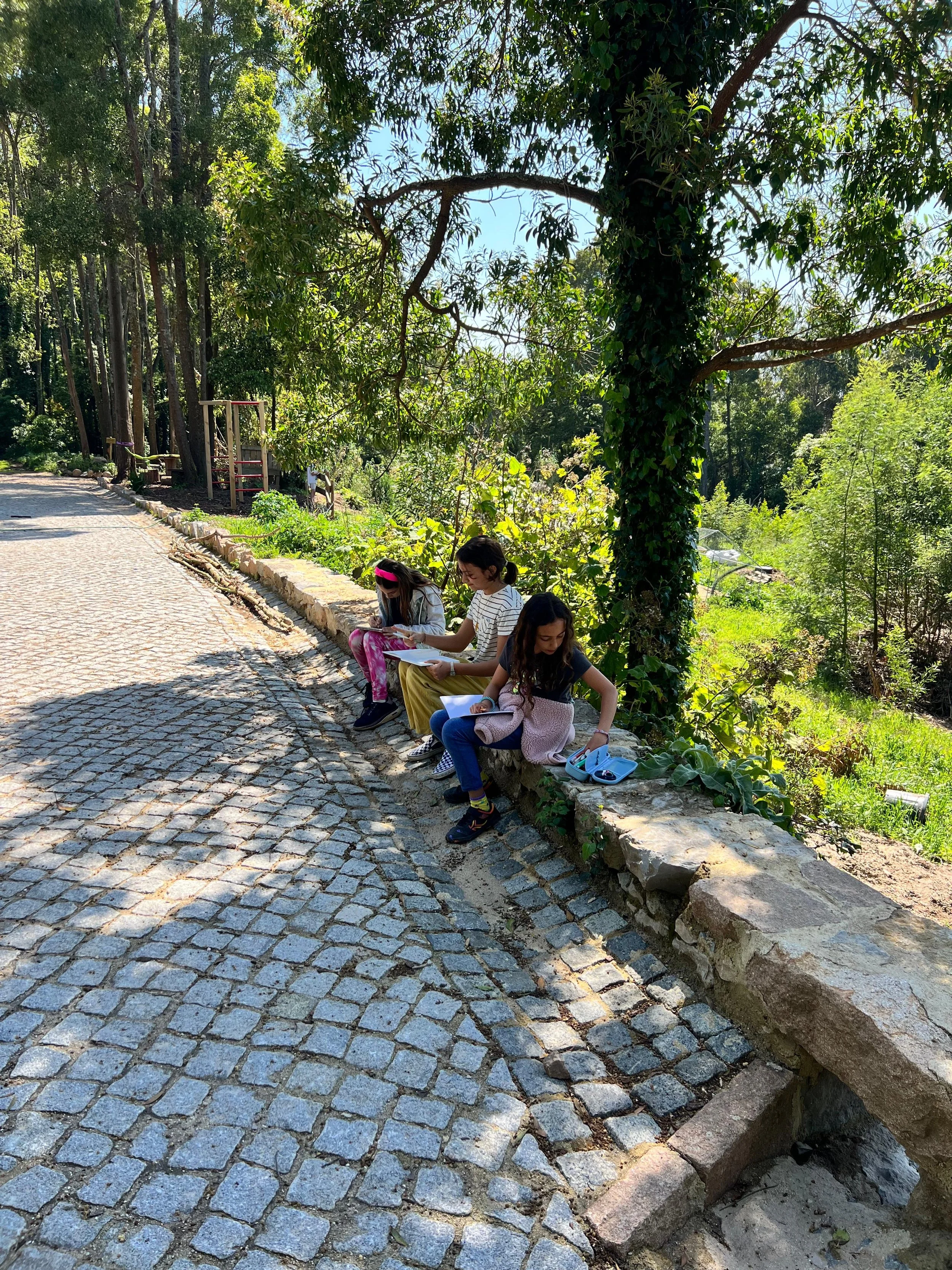 What Happens When Children Learn Outdoors for a Week