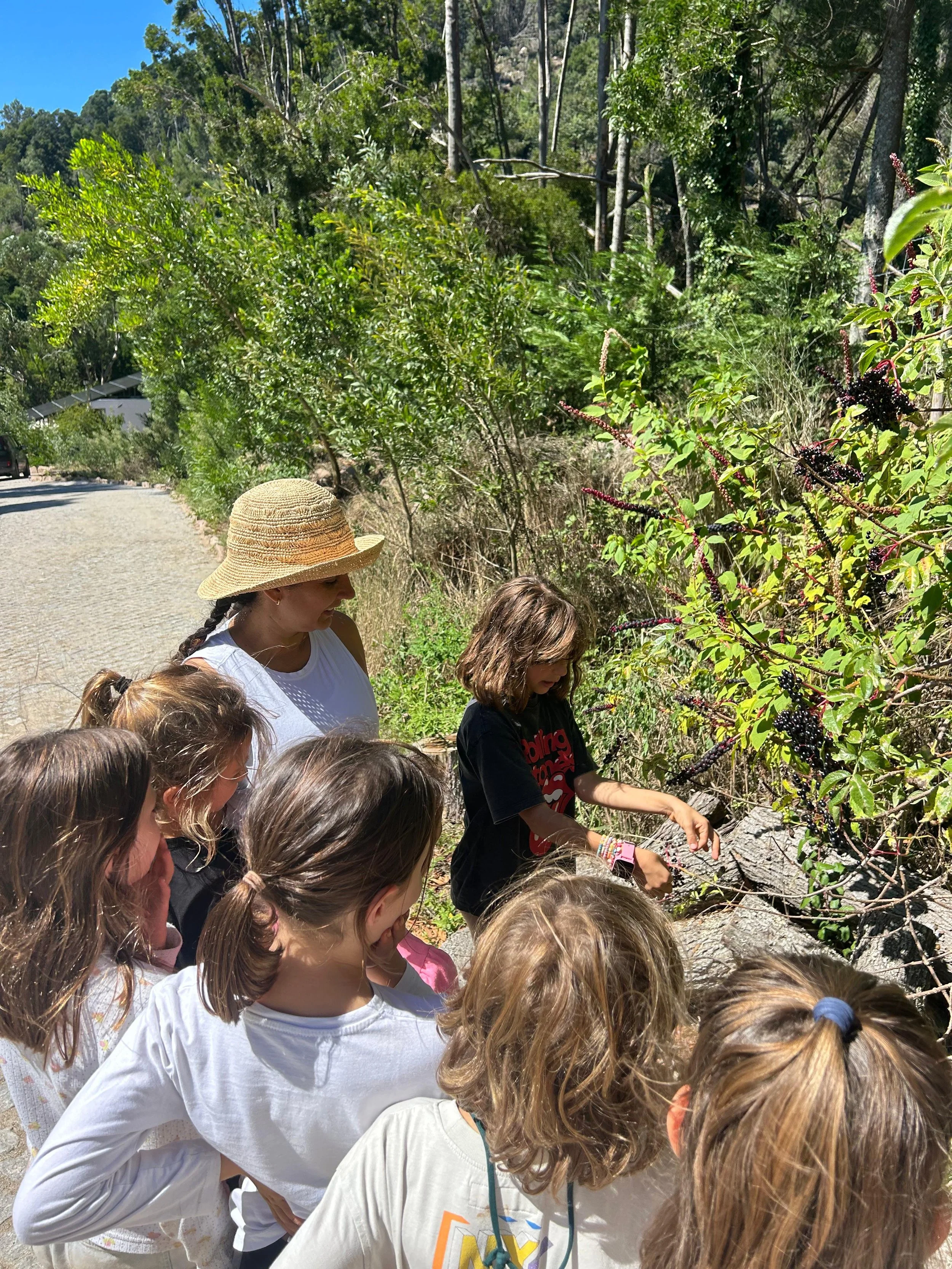 The Honorable Harvest: What an Indigenous Principle Taught Our Students About Taking and Giving