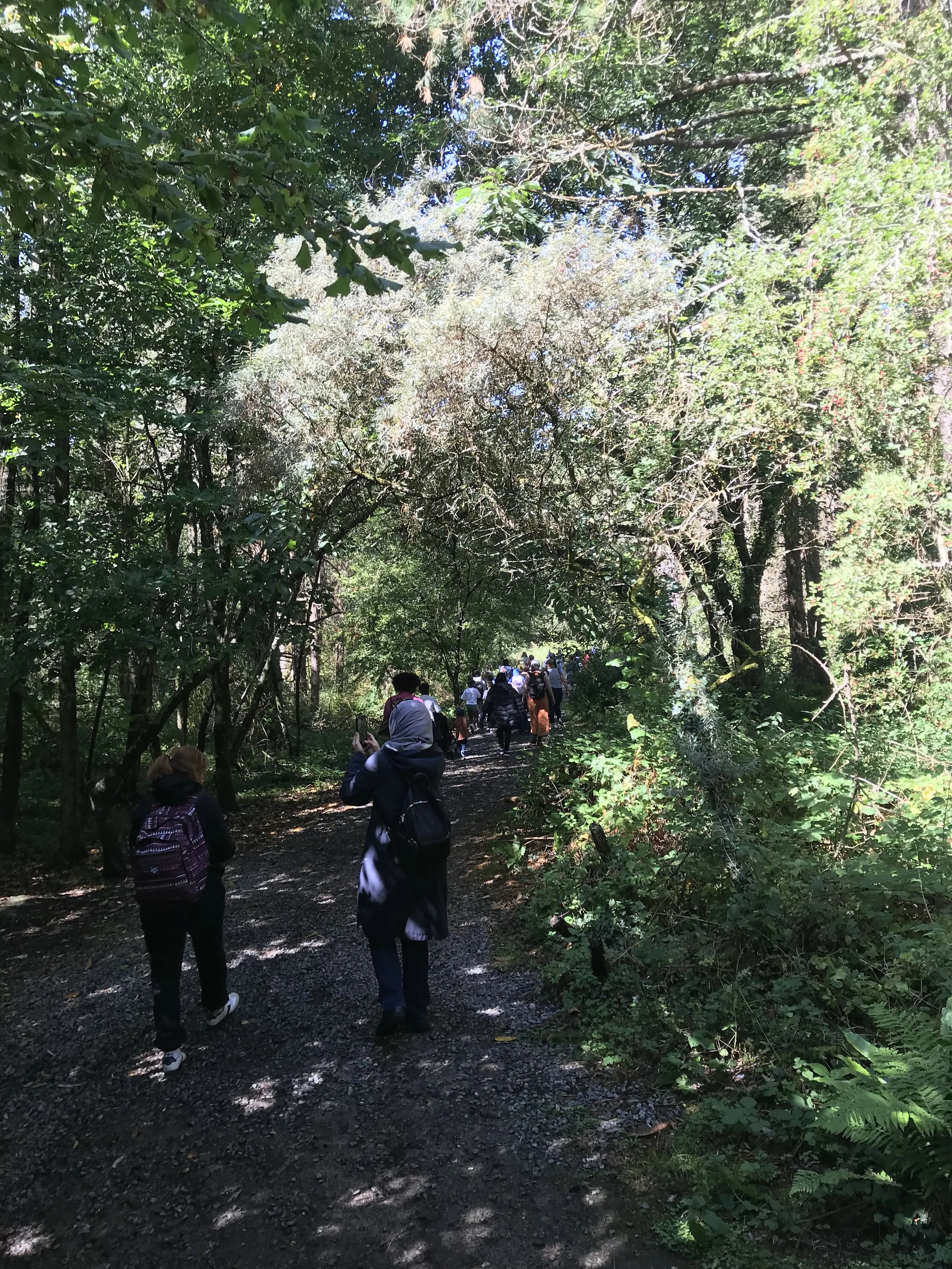 Walking, Talking, and Weaving Landscapes 2024-26
A three year monthly walking  programme, to support wellbeing, creative development, and combat isolation.  Recognising the barriers for women to access the countryside of the city. Using public transp
