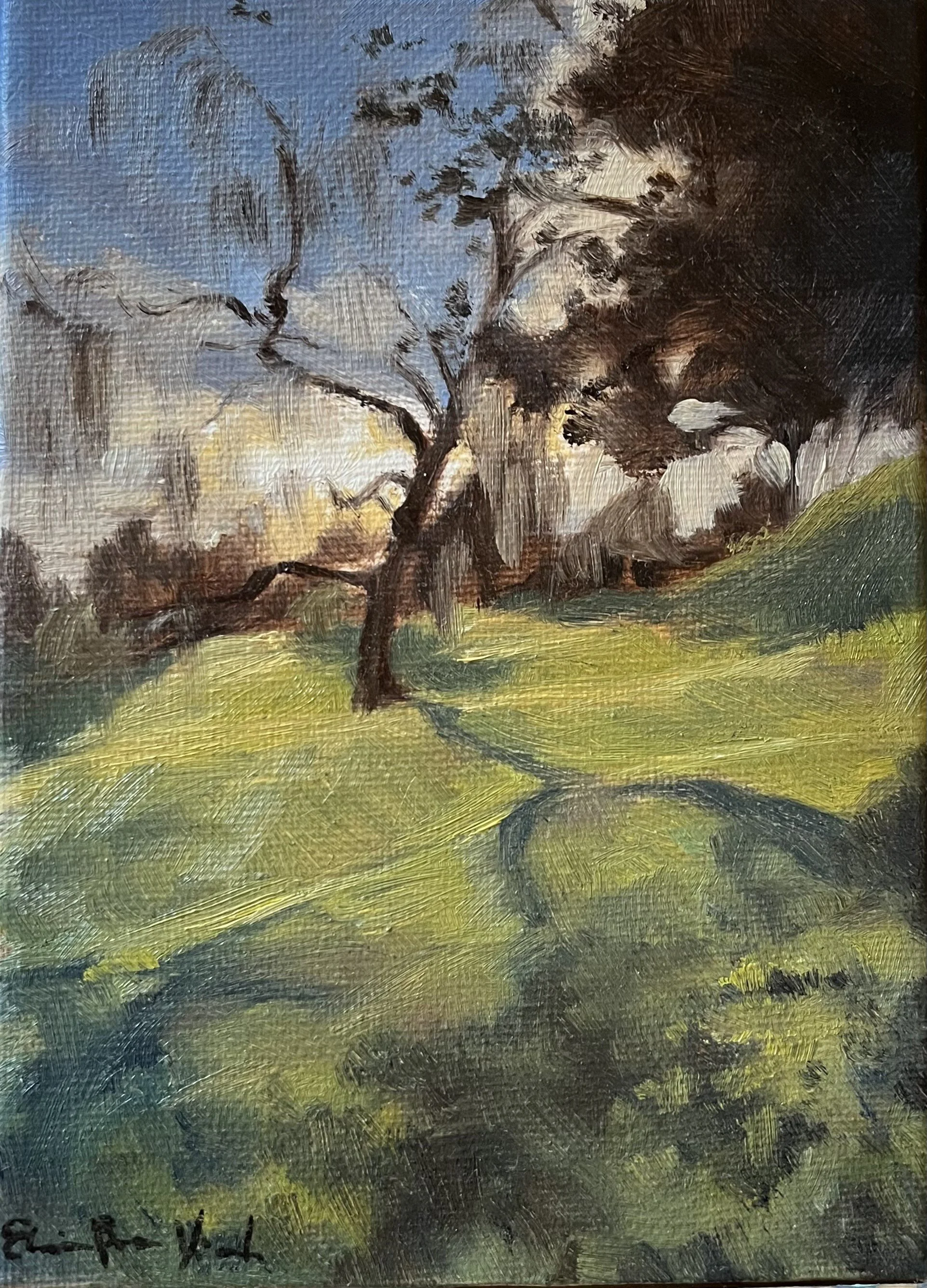 Sundown, Brandon Hill.jpeg