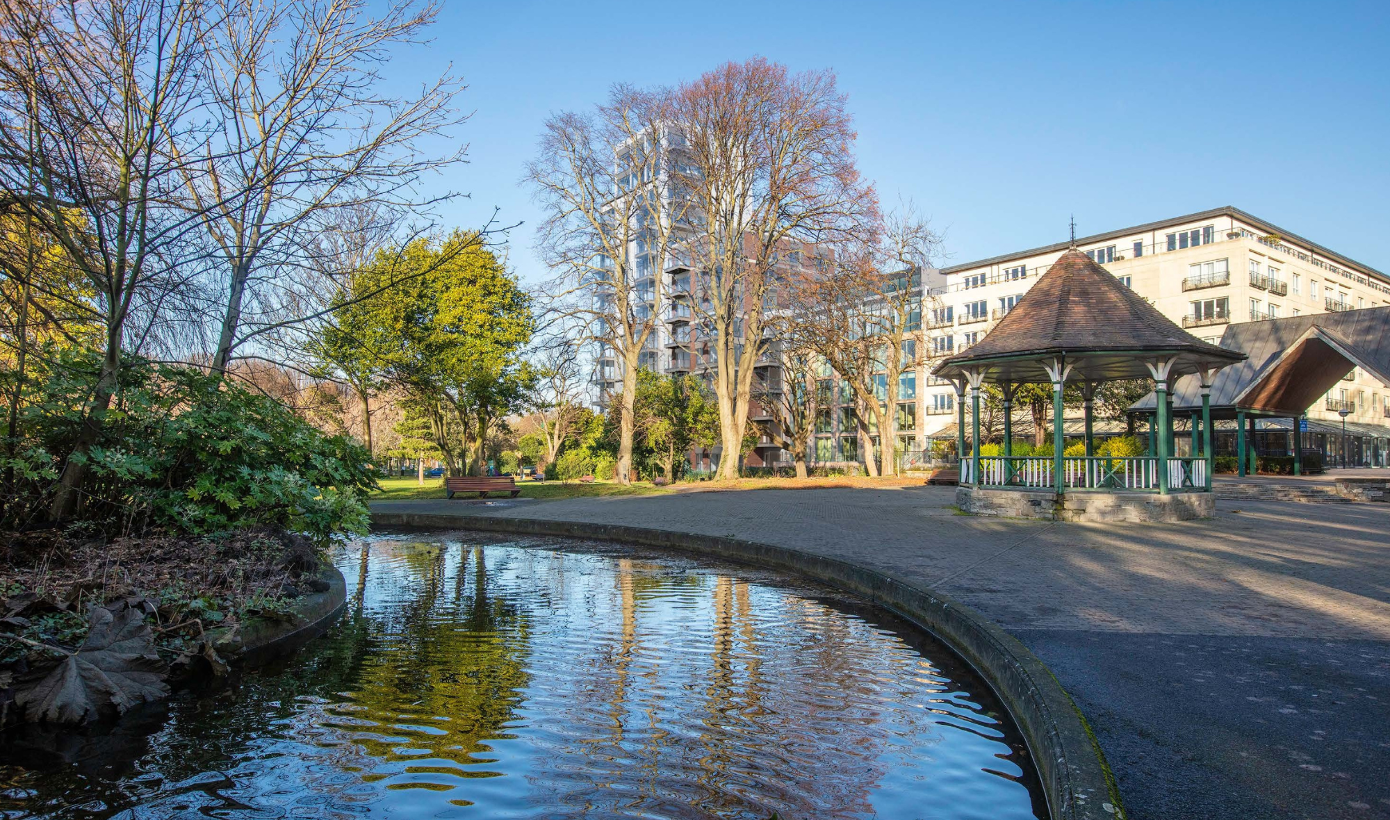 Website CGI Option 3.pdf.png