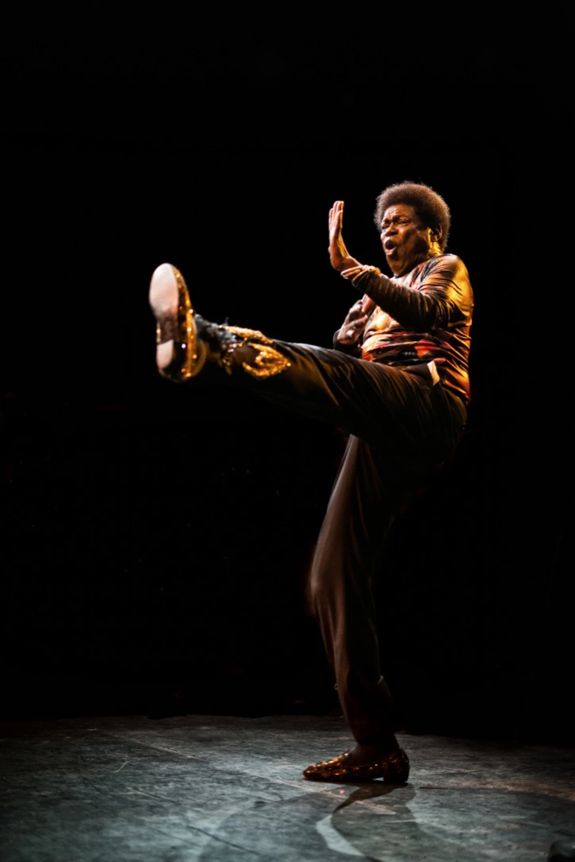 Charles Bradley — Nice Jazz Festival