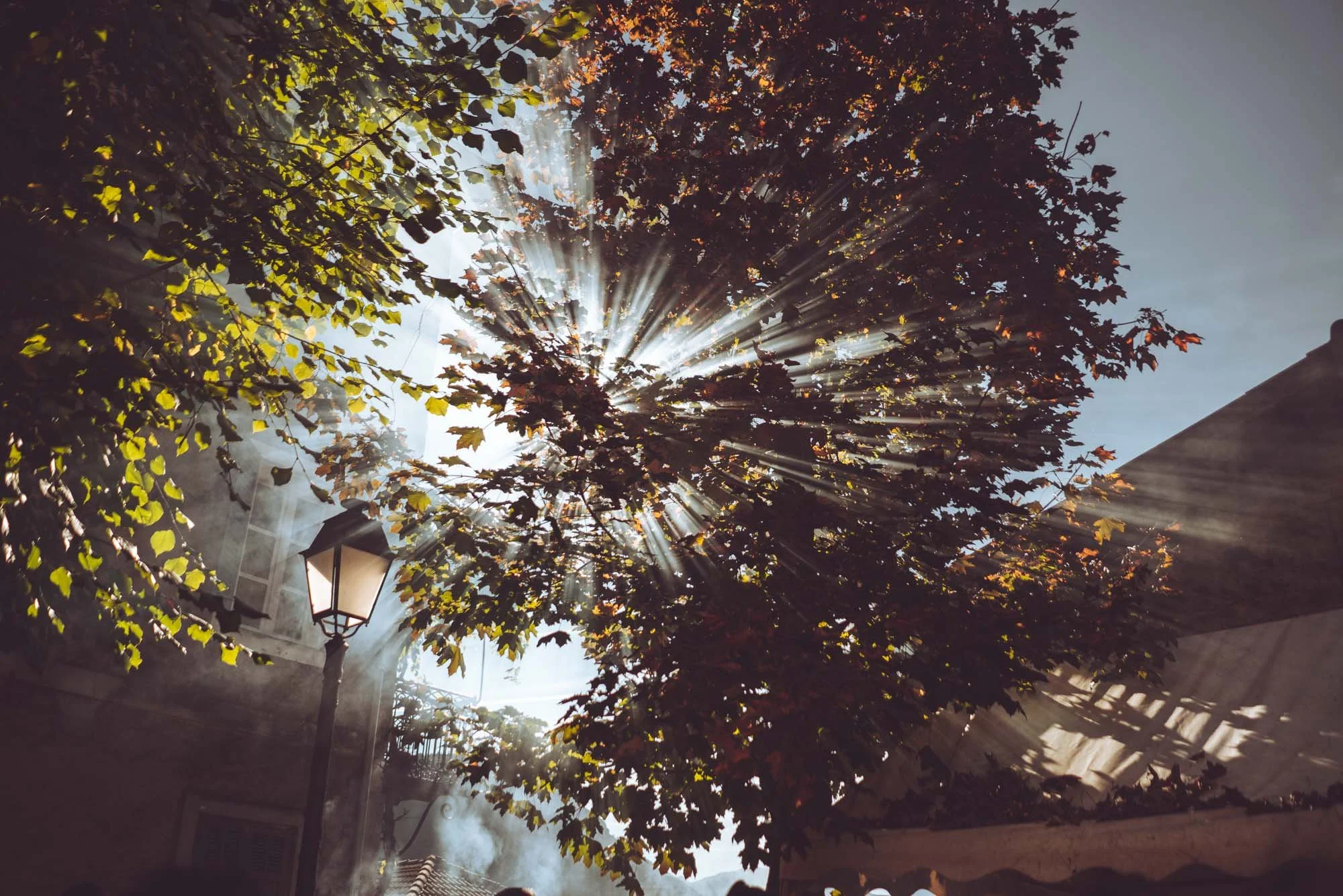 Fête de la Chataigne - Valdeblore 