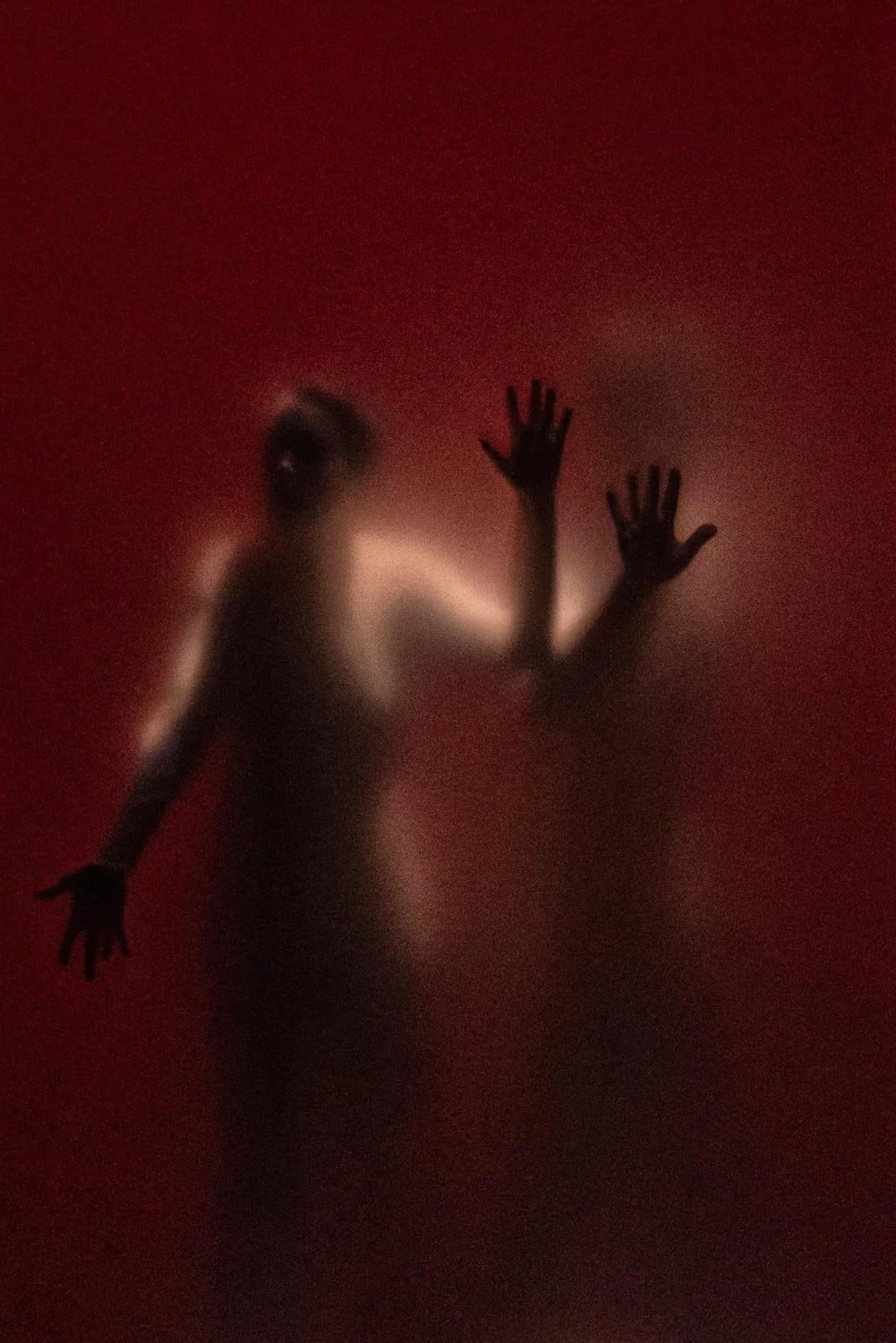 Compagnie Castafiore - Cannes