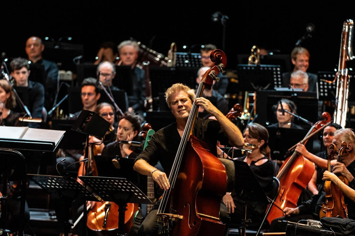 Kyle Eastwood - Palais des. Festivals - Cannes