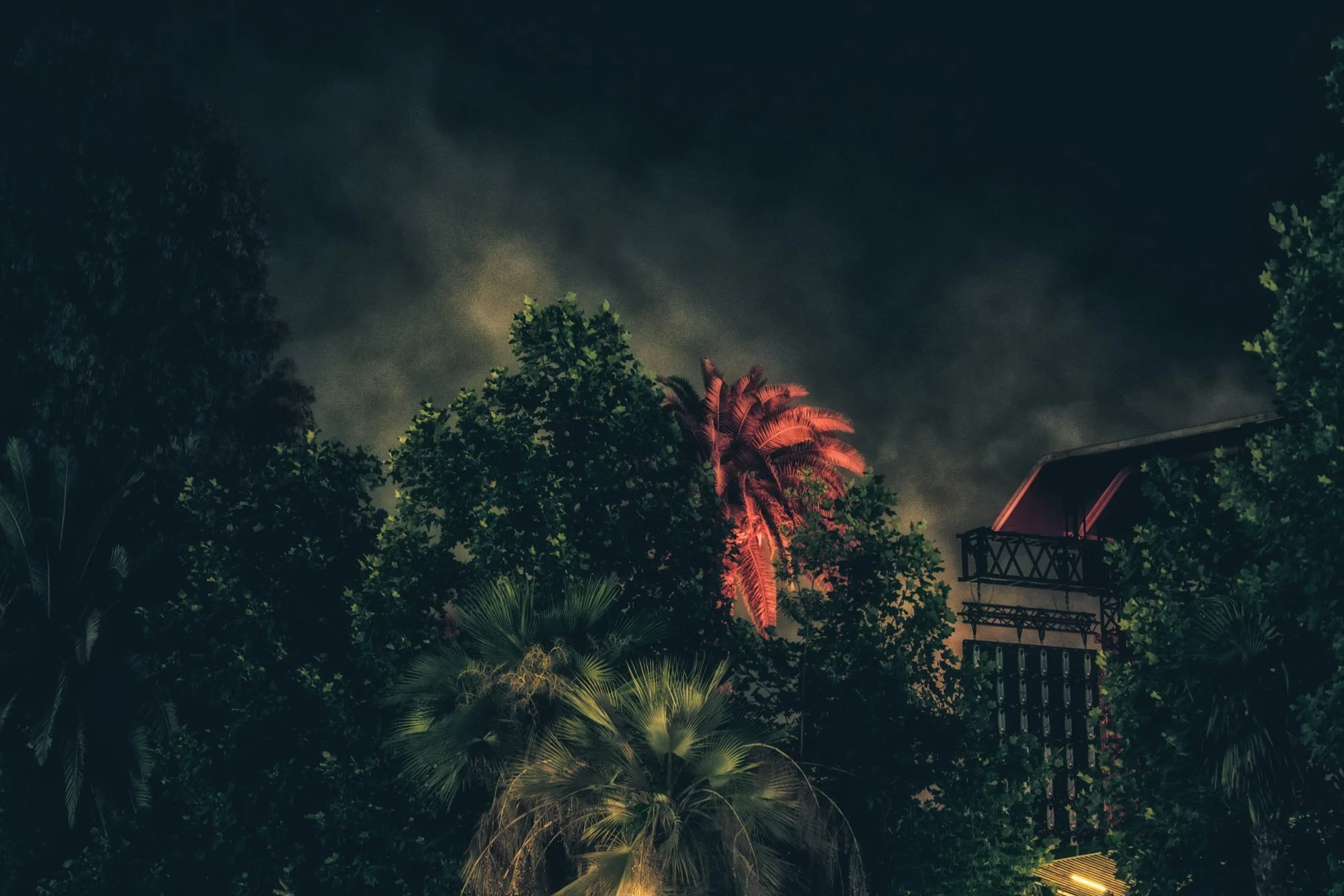 Graceland - 100 TITRES - Musée de la photographies Charles Negre - Nice