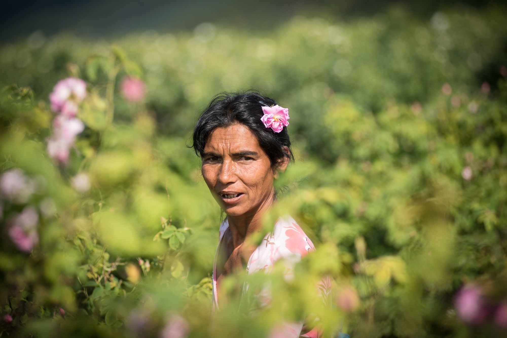 La bal de la rose - Bulgarie 