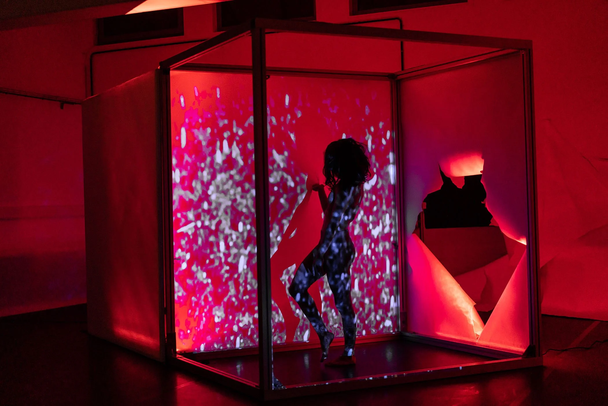 Claire Camous - Nicolas Brunet 