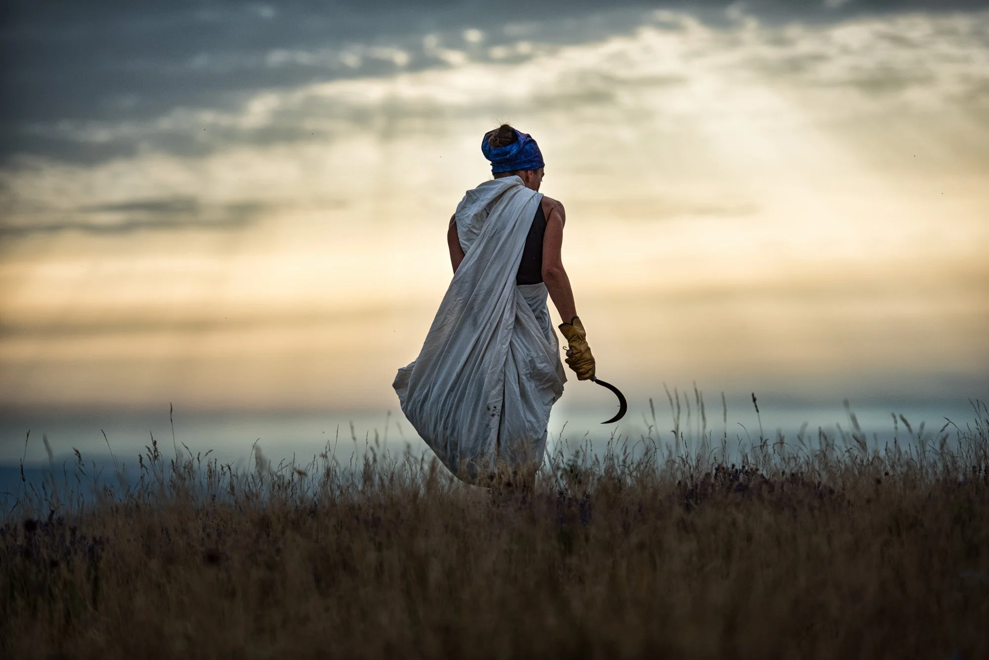 Les faucheurs  - Musée International de la parfumerie - Grasse