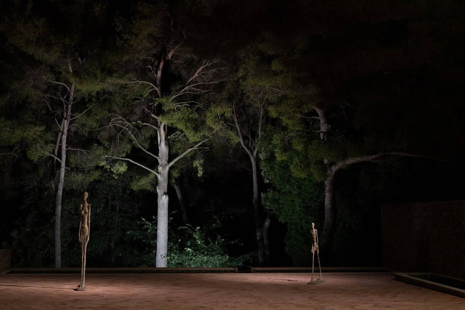 Cultural institution and human presence