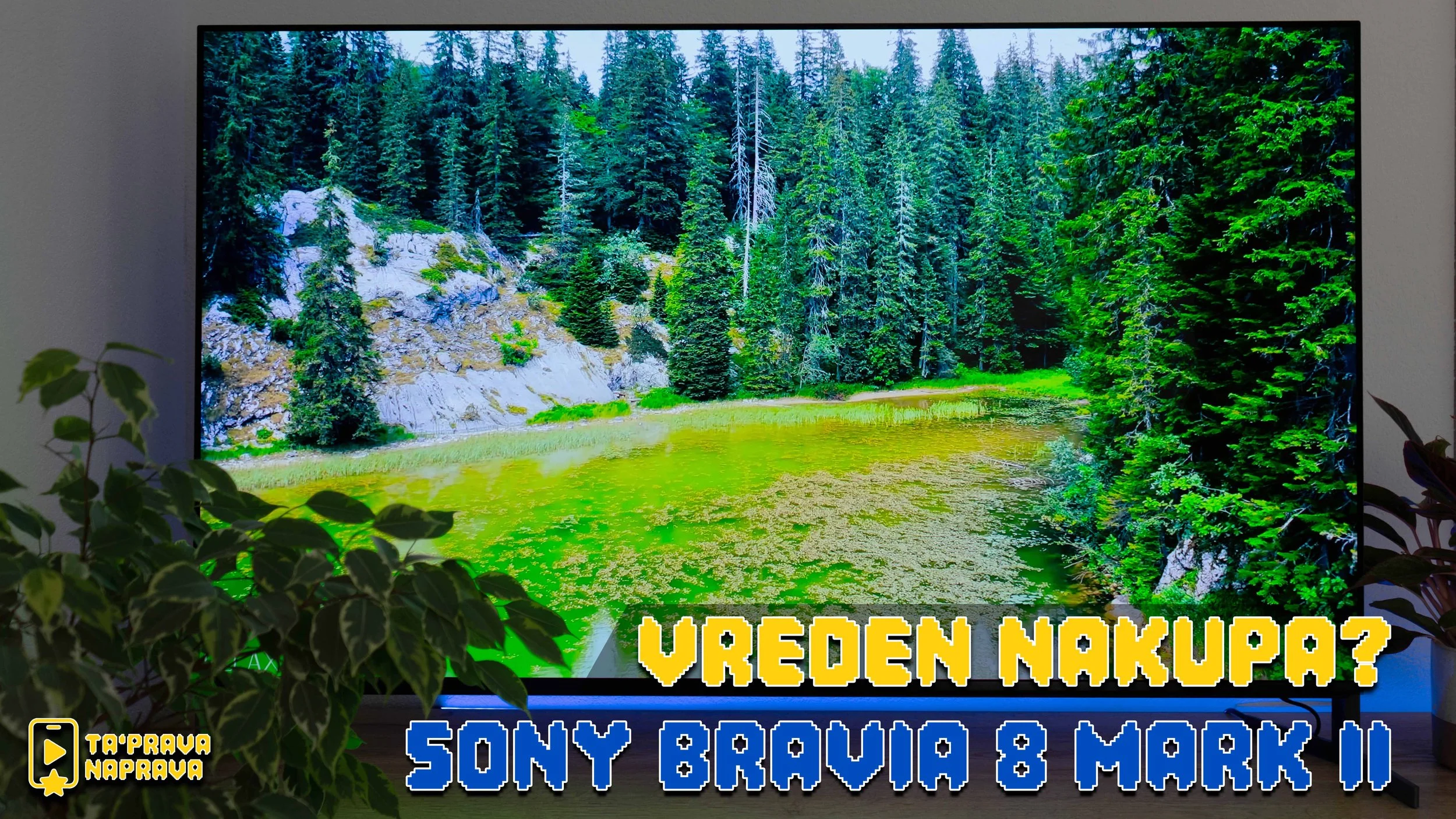 Sony Bravia 8 Mark II