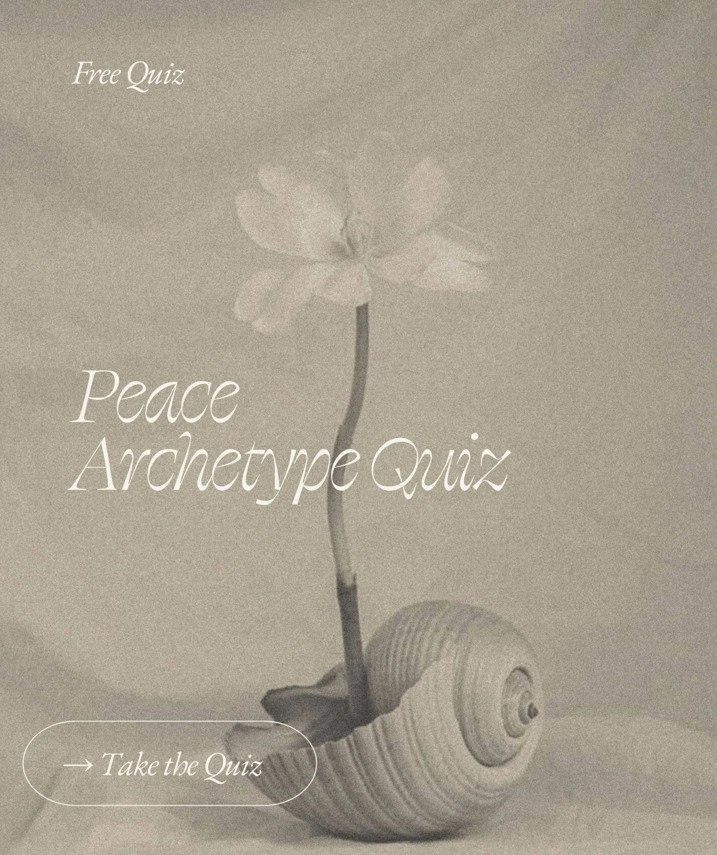 A graphic promoting a peace archetype quiz with a minimalist design featuring a flower and a seashell, and text indicating it's a free quiz with an option to take it.