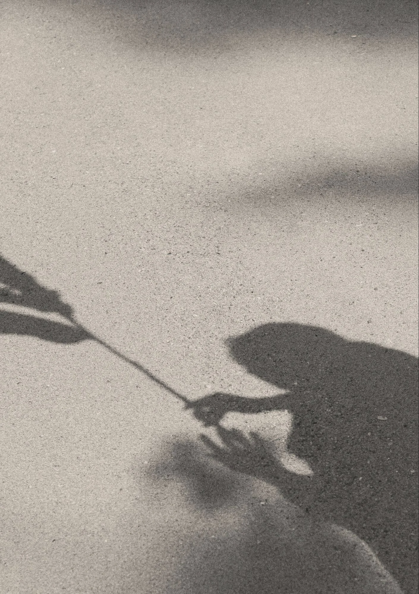 Shadow of a person holding an umbrella and a flower cast on a sandy surface.