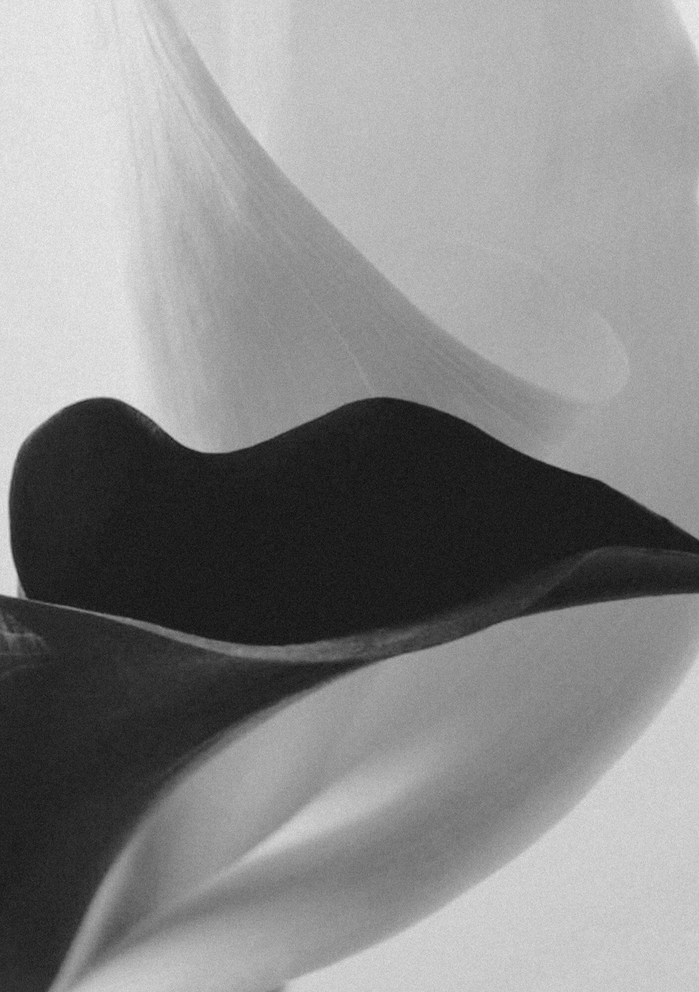 Close-up of a modern, curved sculpture or abstract art piece in black and white.