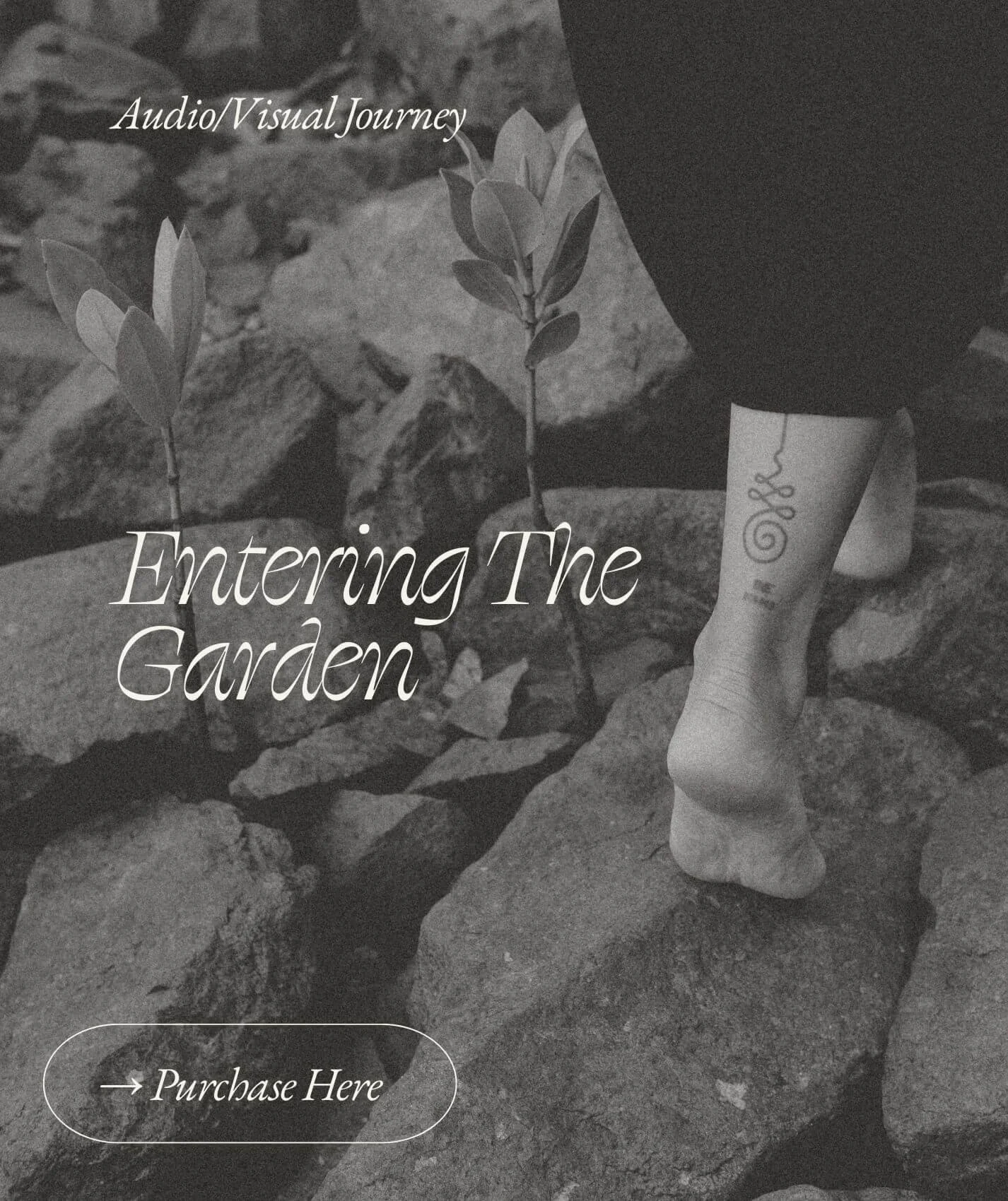 Black and white photo of a person barefoot walking on rocks with plants growing in between. Text overlay reads 'Audio/Visual Journey', 'Entering The Garden', and 'Purchase Here'