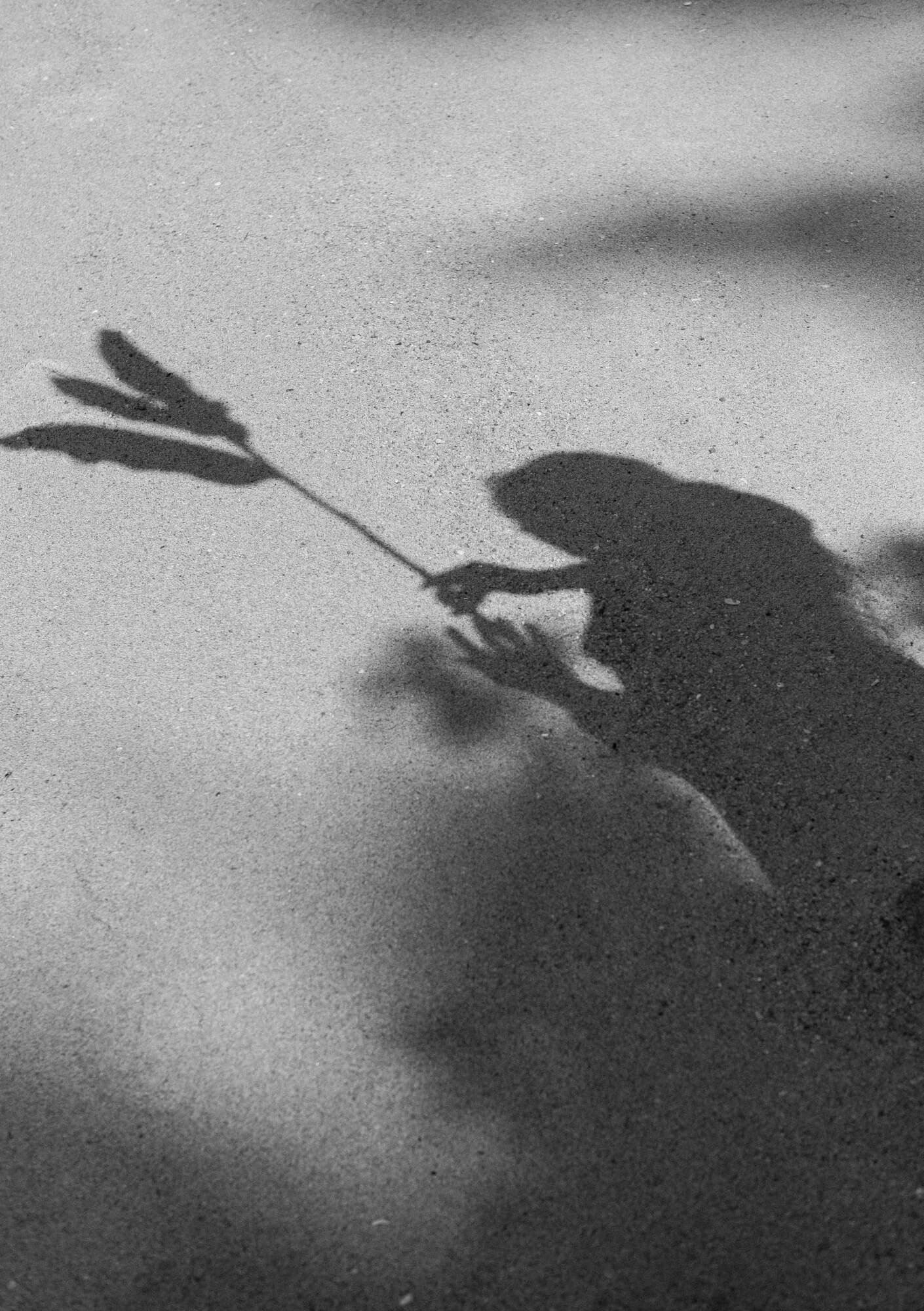 Shadow of a girl holding a flower on a sandy surface.