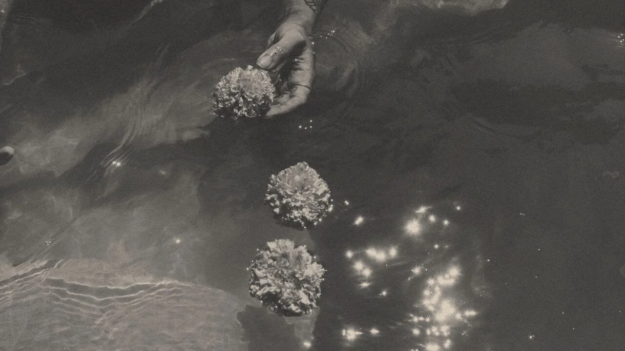A person holding three textured, spherical objects or flowers over a reflective surface, with light reflecting off the surface.