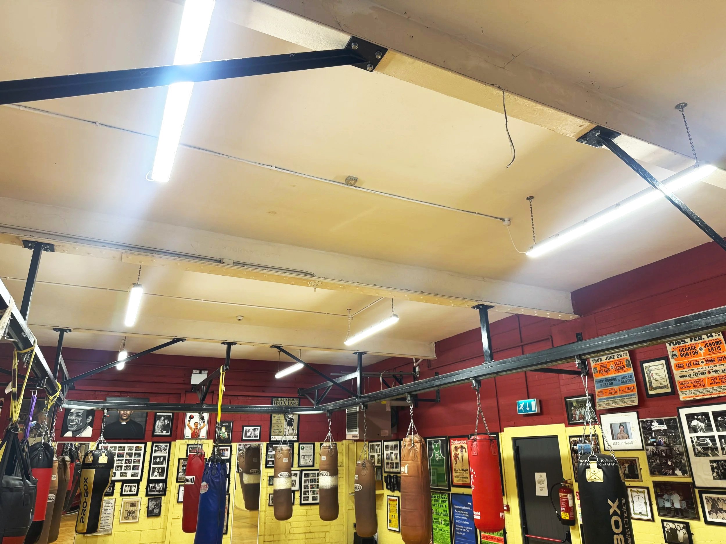 A boxing gym with multiple hanging punching bags, framed photos and posters on the red and yellow walls, and fluorescent lights on the ceiling.