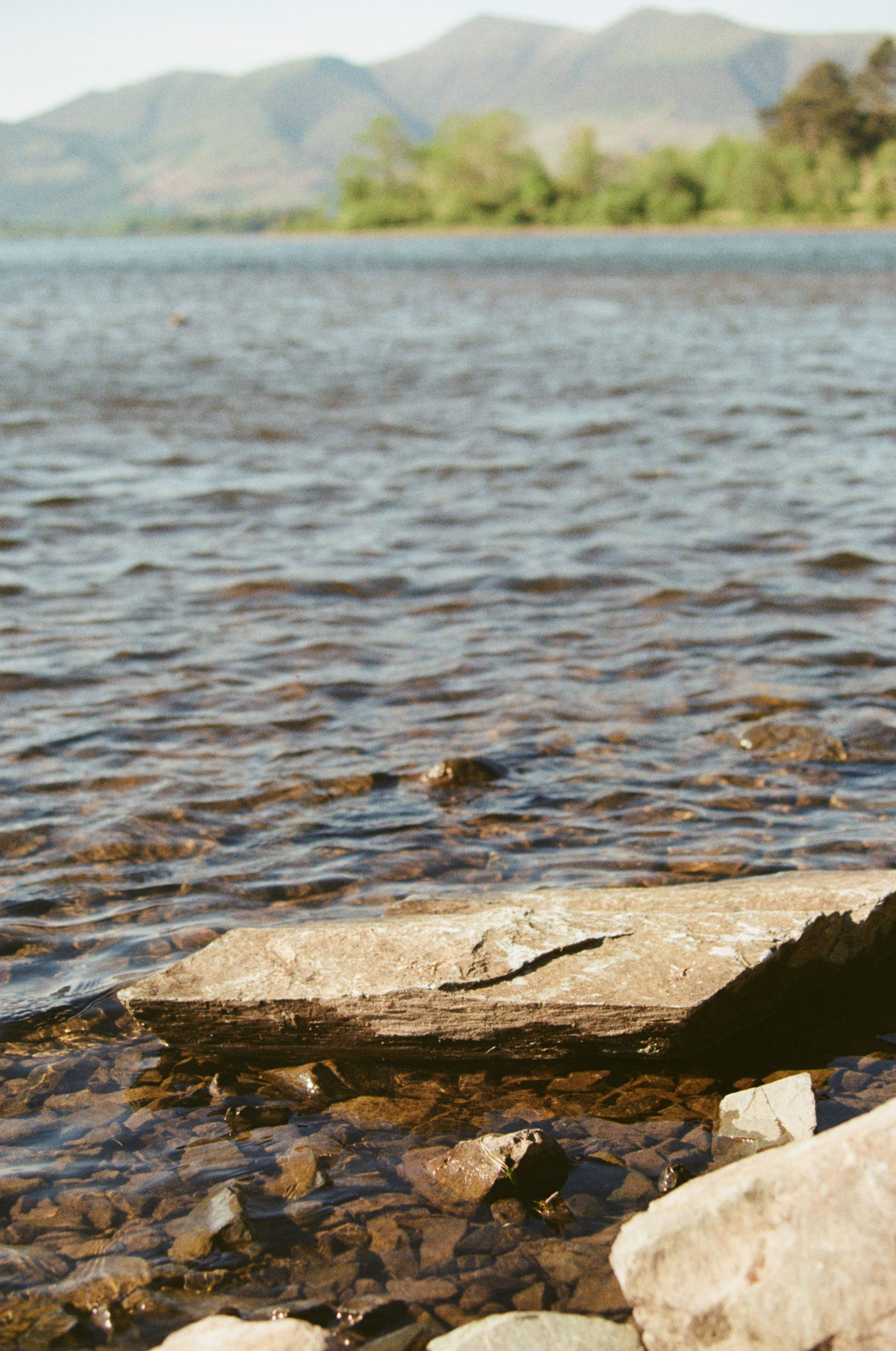 Close-up of a rocky shoreline with shallow water, large flat rocks, and distant mountains with green trees in the background.