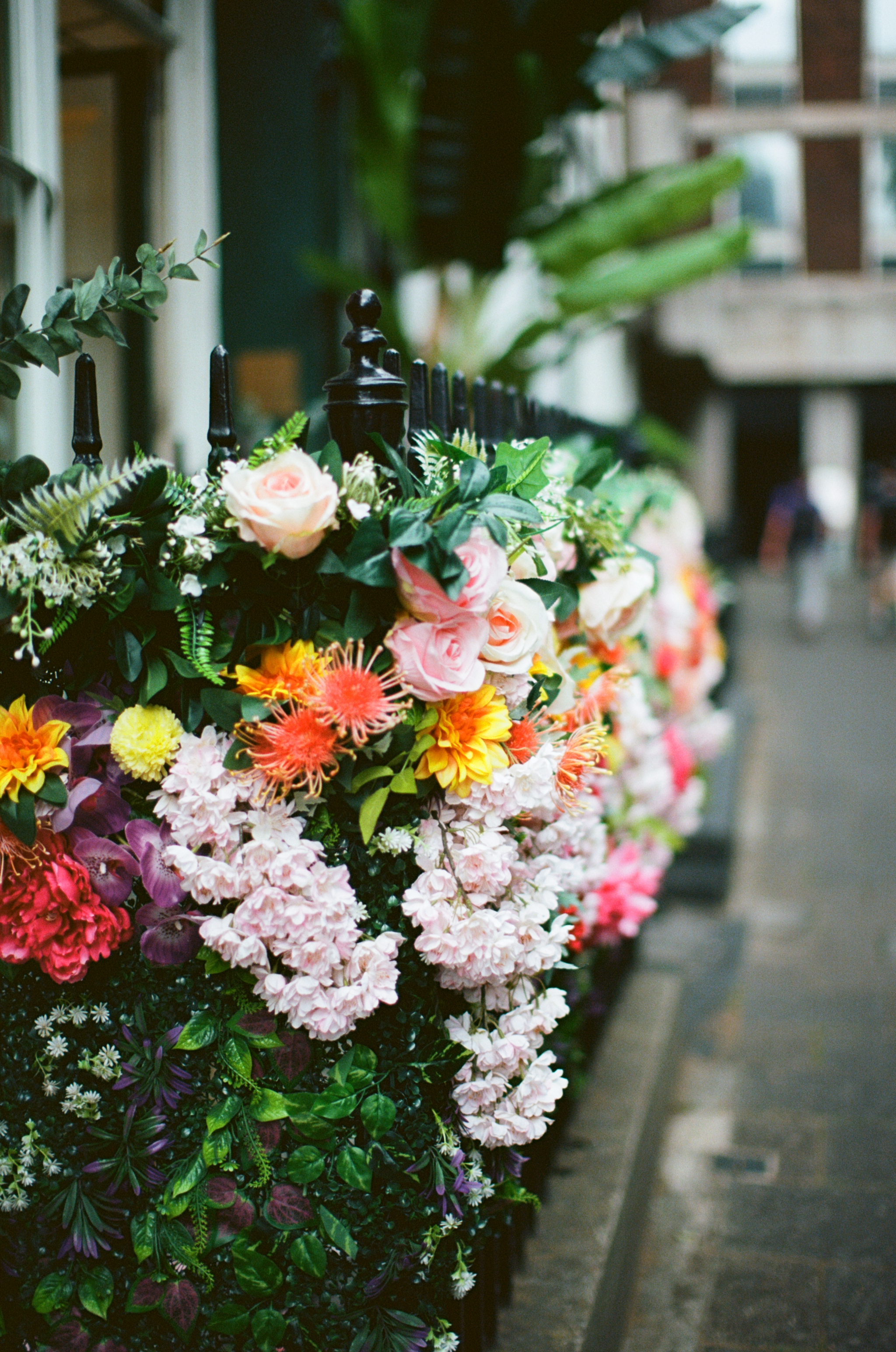 Colorful flower display with pink roses, yellow and orange flowers, and purple and green foliage on a black iron fence.