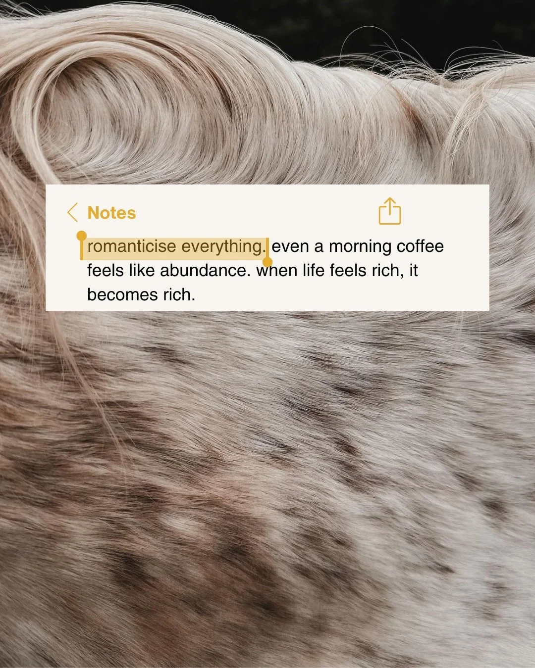 some words i&rsquo;ve collected in my notes + musings for 2026. i wanted to share because this is the energy i&rsquo;m wishing for us all this year of the horse 🐎 
🤍more love, more gratitude, more clarity, more intention, more nature, more joy 

#2