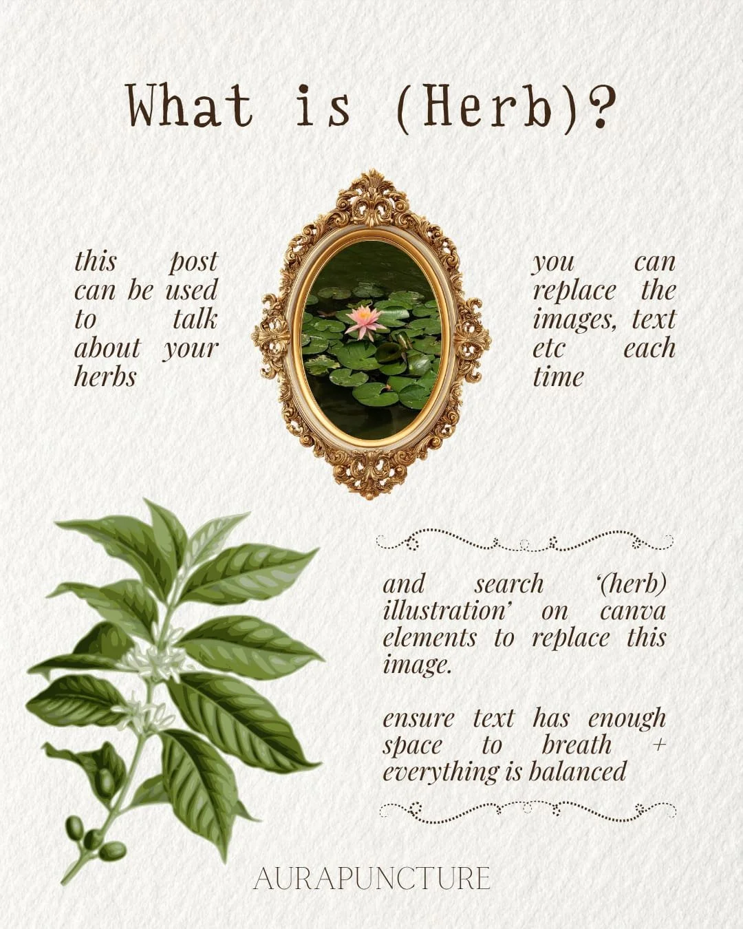 AURAPUNCTURE herbal education (1).jpg