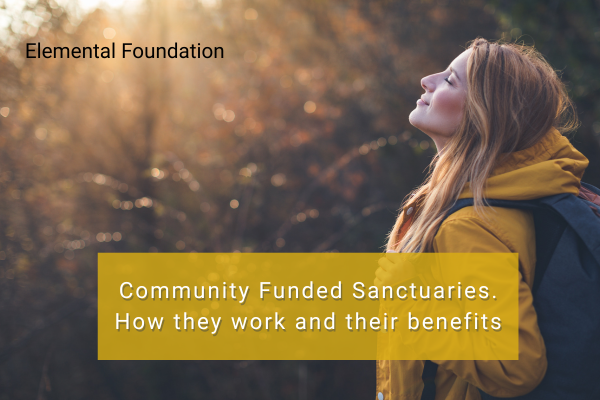 What is a community funded sanctuary and how does it work