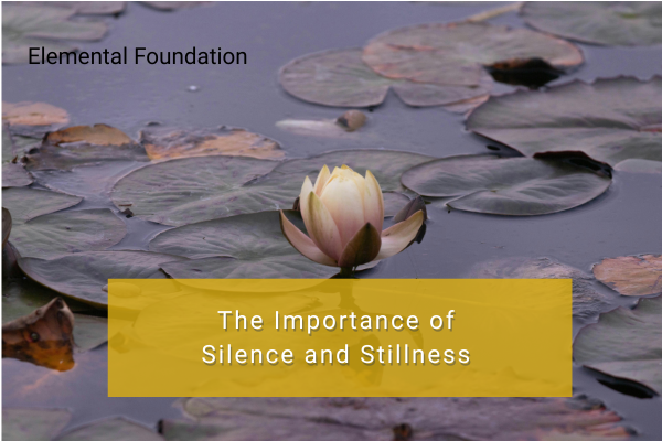 Why Silence and Stillness Are Biological Requirements Not Luxuries
