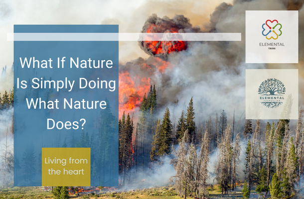 What If Nature Is Simply Doing What Nature Does?