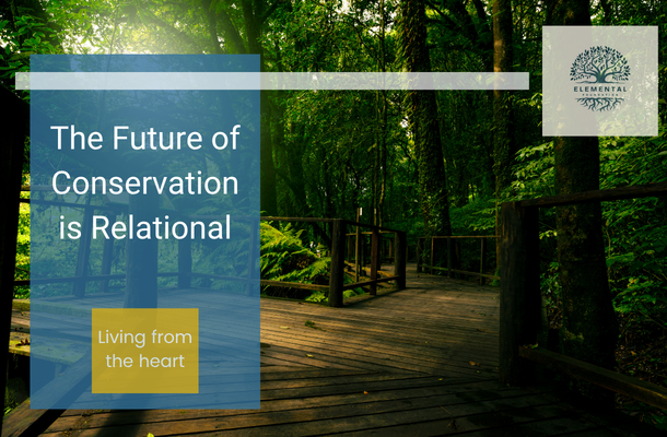 The Future of Conservation Is Human and Relational