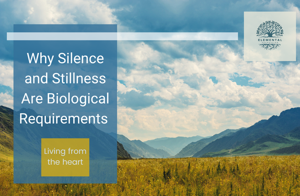 Why Silence and Stillness Are Biological Requirements Not Luxuries
