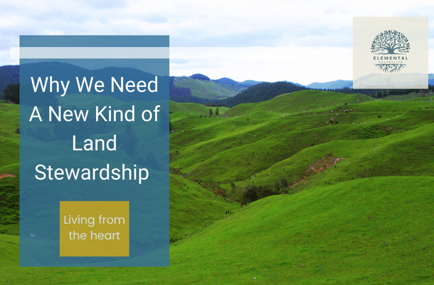 Why We Need A New Kind of Land Stewardship in a Burnt Out World