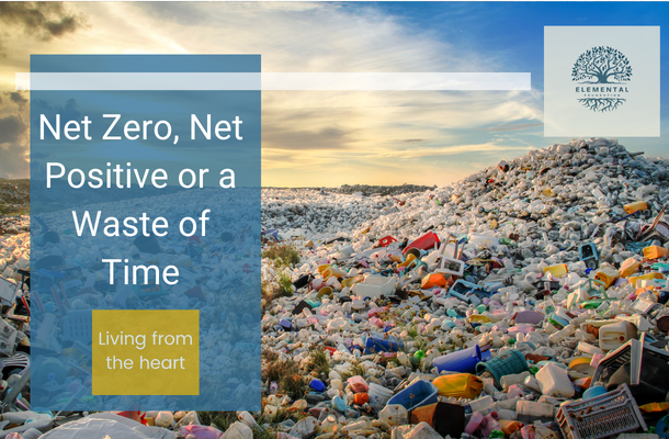 Net Zero, Net Positive or a Waste of Time?
