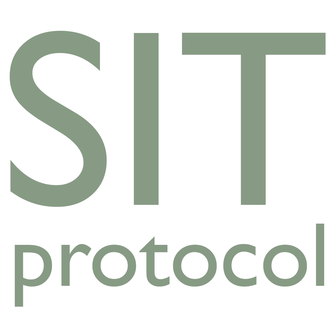 SIT Protocol™ Workshop